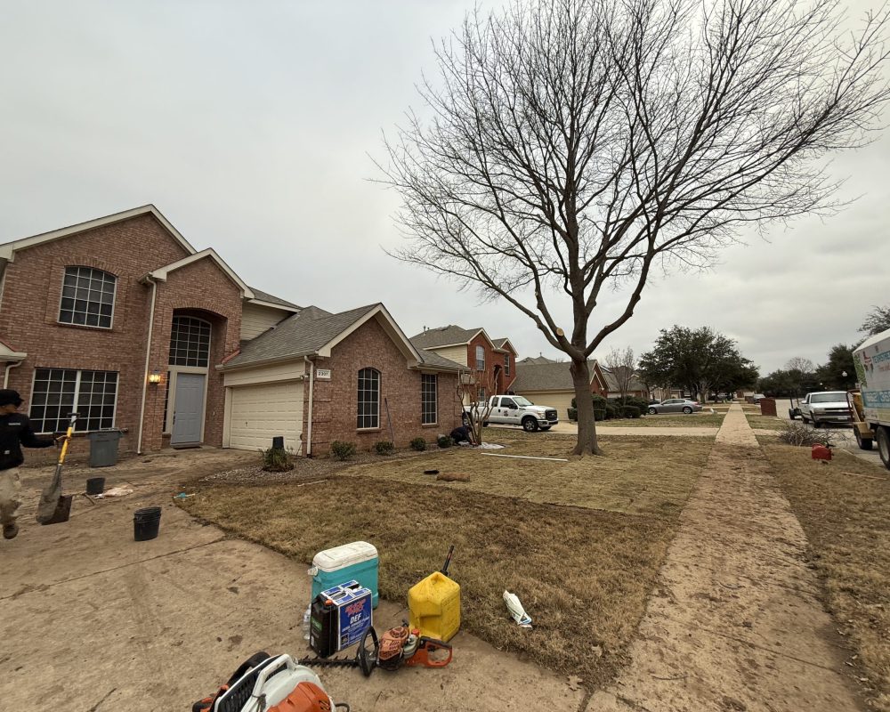 front yard project